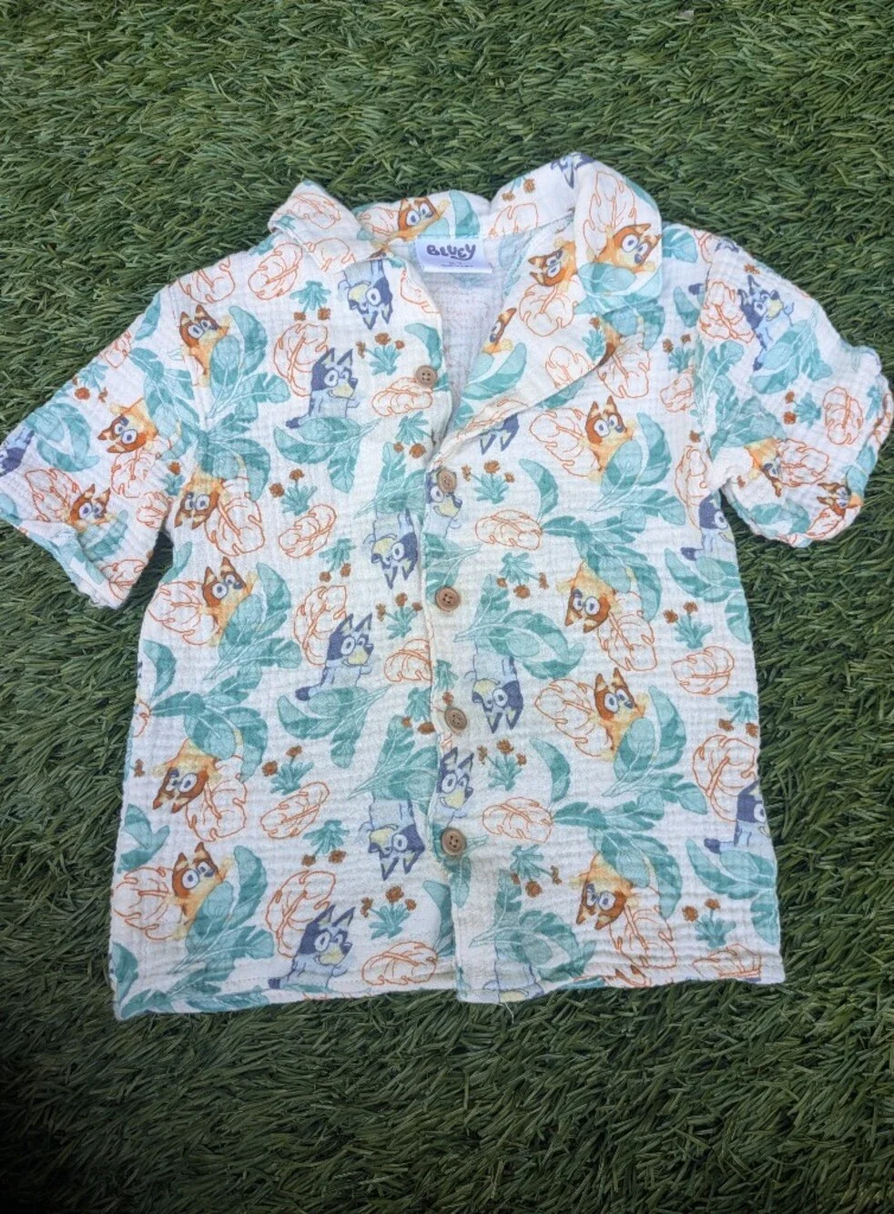 Blue & Green Bluey Print Kids Set